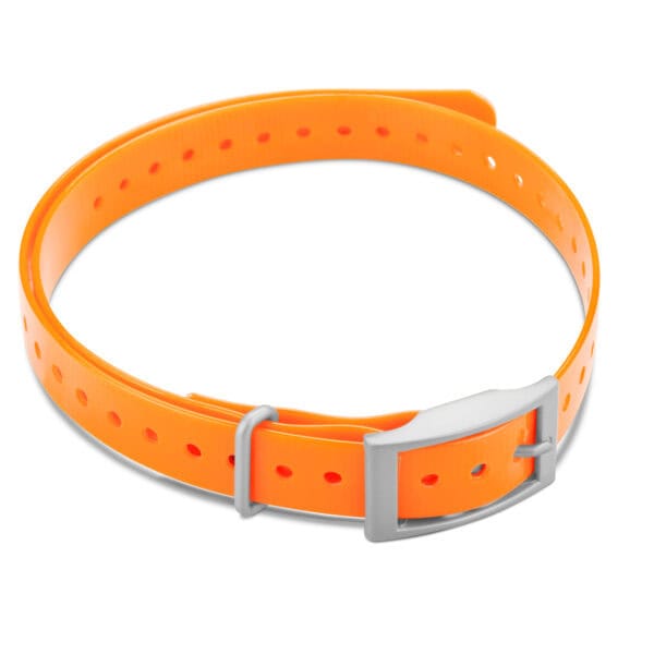 Garmin 3/4" Square Buckle Collar Strap Orange