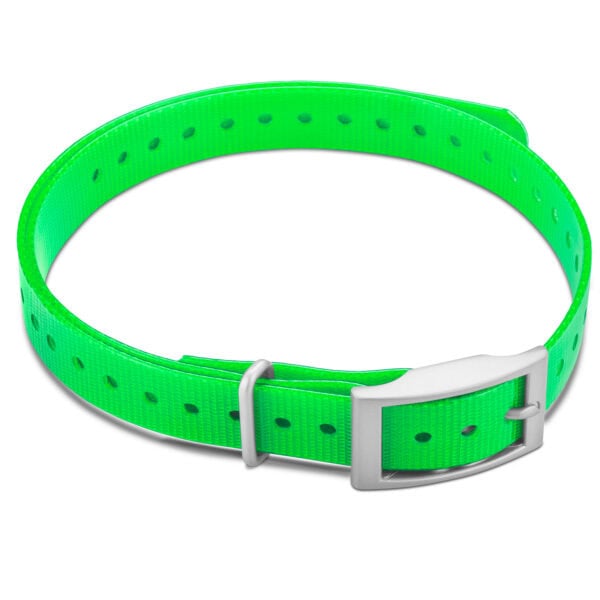 Garmin 3/4" Square Buckle Collar Strap Green
