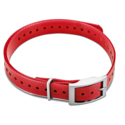 Garmin 3/4" Square Buckle Collar Strap Red
