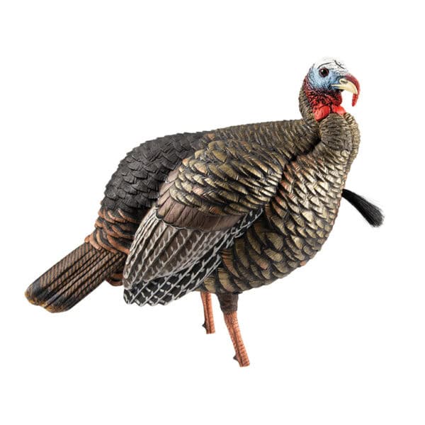 Avian-X Turkey Decoy HDR Jake Strut AVX8105