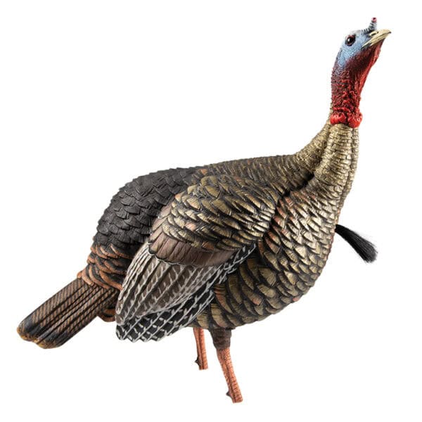 Avian-X Turkey Decoy HDR Jake Strut AVX8105