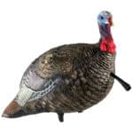Avian-X Turkey Decoy LCD Jake Quarter Strut AVX8003 Avian-X Turkey Decoy LCD Jake Quarter Strut AVX8003