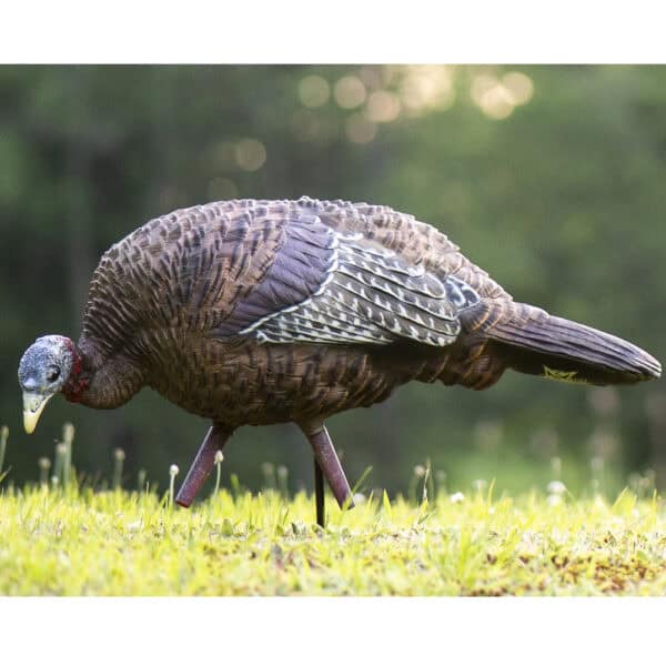 Avian-X Turkey Decoy LCD Feeder Hen AVX8007