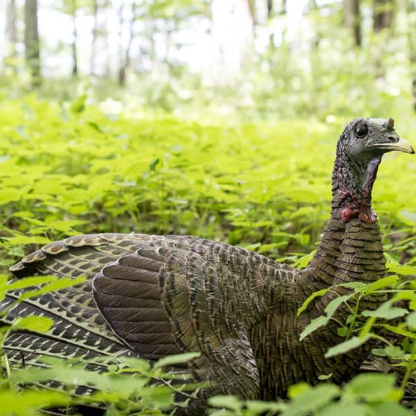 Avian-X Turkey Decoy LCD Laydown Hen AVX8011