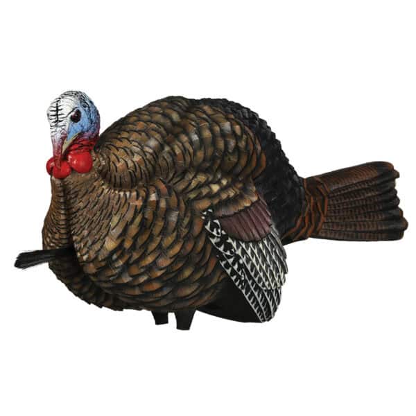 Avian-X Turkey Decoy Half Strut Jake AVX8012
