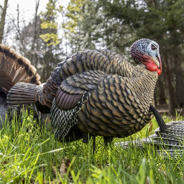 Avian-X Turkey Decoy Half Strut Jake AVX8012
