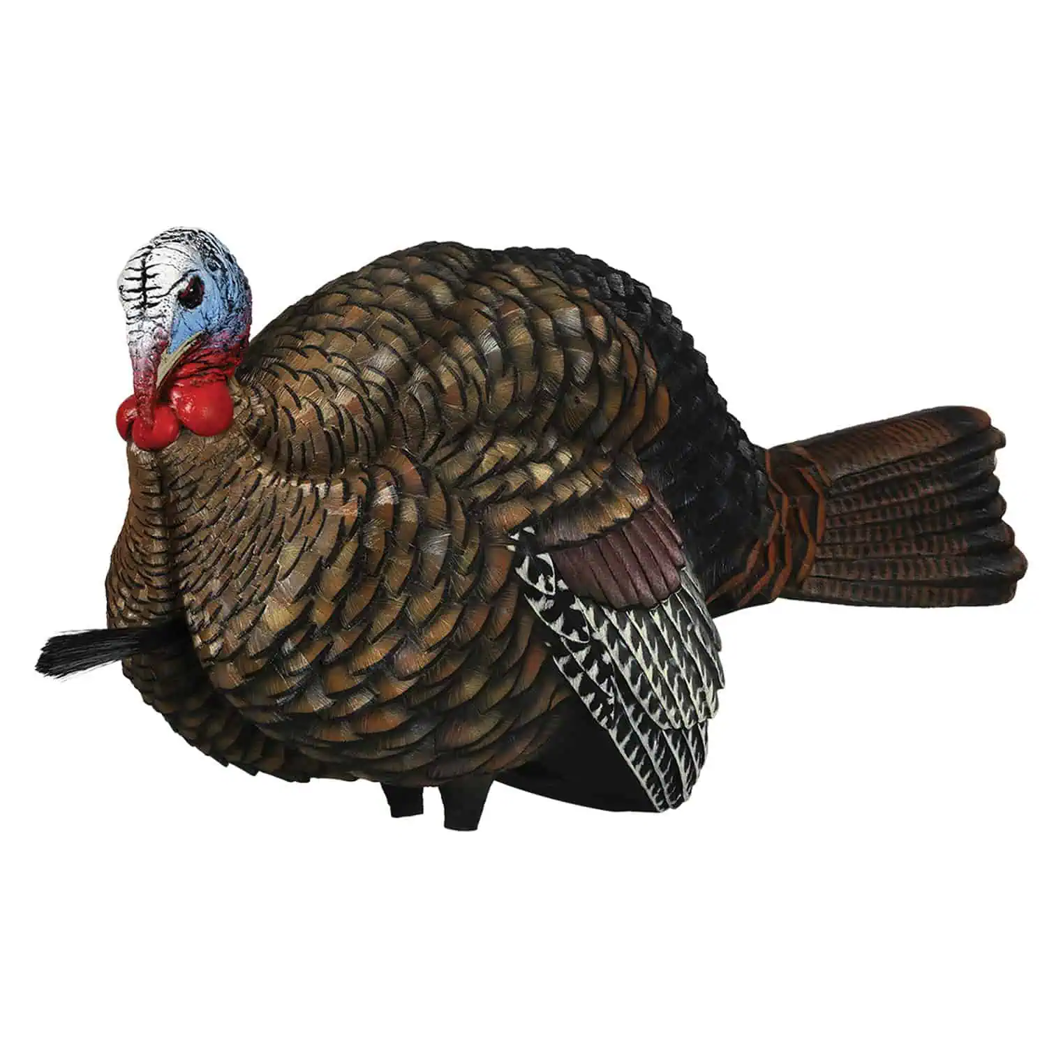 AvianX-080124-Avian-X-Turkey-