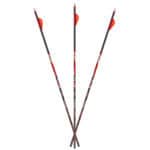 Carbon Express D-Stroyer MX Hunter Fletched