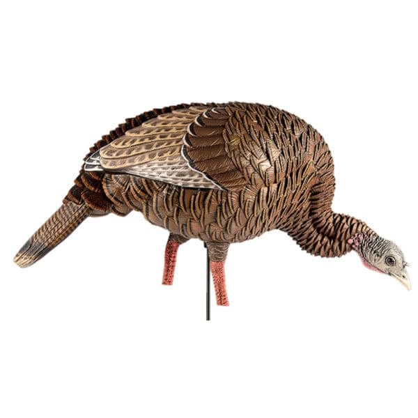 Avian X Turkey Decoy HDR Feeding Hen AVX8107