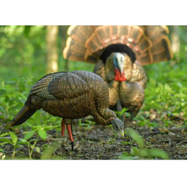 Avian X Turkey Decoy HDR Feeding Hen AVX8107