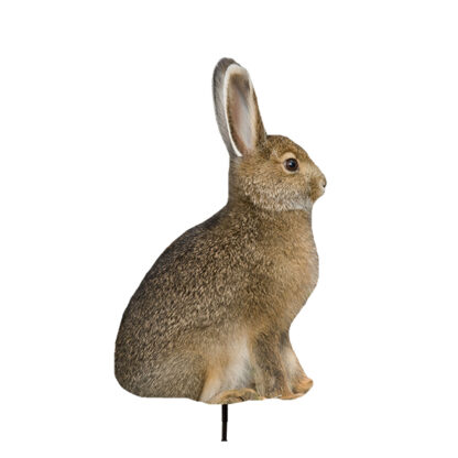 Montana Decoy Miss Hoptober Rabbit 0036