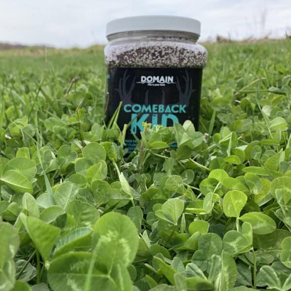 Domain Outdoor Food Plot Seed Comeback Kid