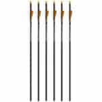 Ravin Crossbow Bolts R500 Arrows R120 6 Pack