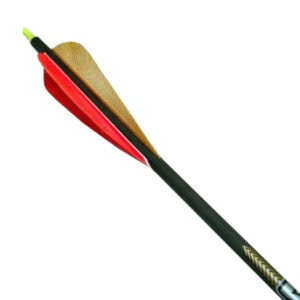 Magnus Broadheads Bullhead 300 with 4-4 inch orange and brown feathers Victory Arrow AG60100