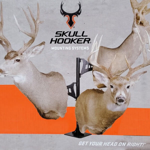 Skull Hooker Short Trophy Tree Black SKH-STTSM-BLK