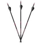 Carbon Express MAXIMA SABLE RZ Arrow 6 Pack 51202