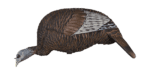 Flextone Thunder Chick Feeder Turkey Decoy FLXDY314