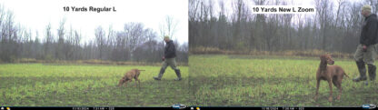 Cuddeback Cuddelink Zoom Camera Pictures