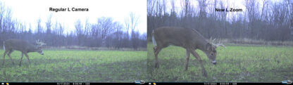 Cuddeback Cuddelink Zoom Camera Pictures