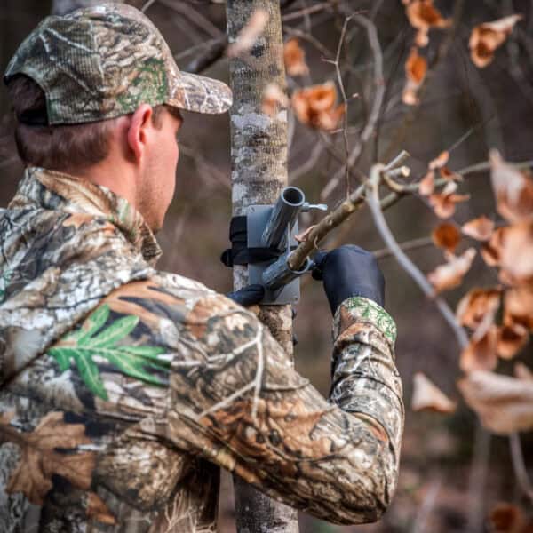 Wildlife Research Active Branch Golden Rope