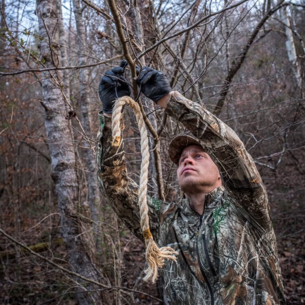 Wildlife Research Active Branch Golden Rope