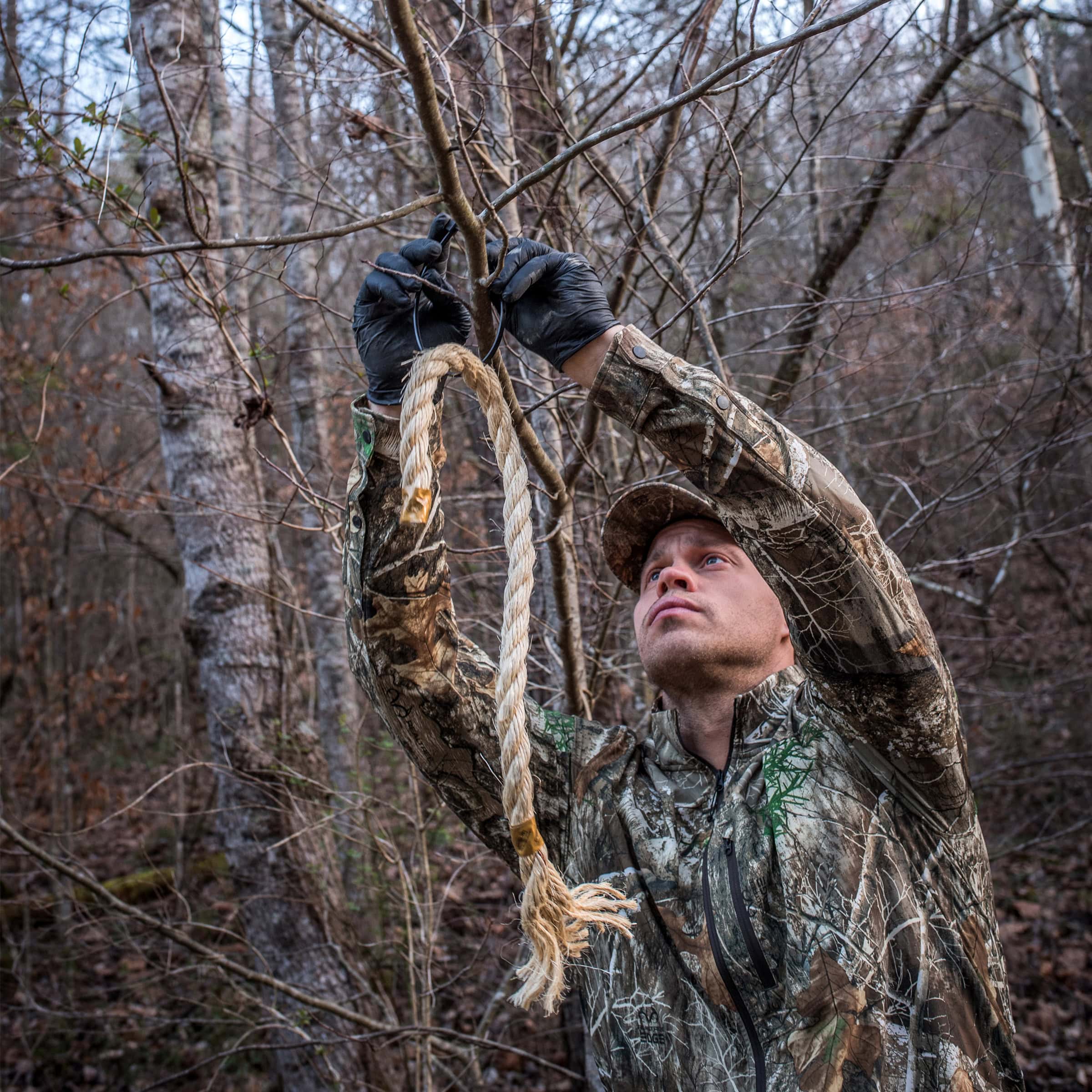 Wildlife Research Active Branch Golden Rope